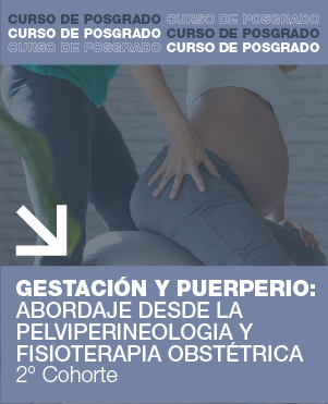 GESTACI&Oacute;N Y PUERPERIO: Abordaje desde la Pelviperineolog&iacute;a y Fisioterapia Obst&eacute;trica